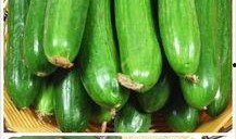 黄瓜农药爆料方法视频教程,轻松掌握安全食用技巧