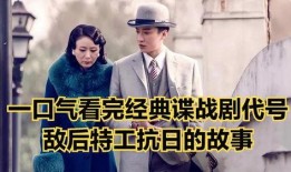 电视剧 代号在线观看,揭秘网络世界的神秘冒险